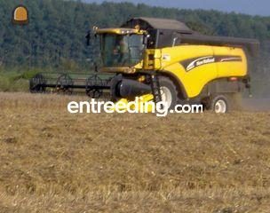 New Holland CX720 Omgeving Bemmel