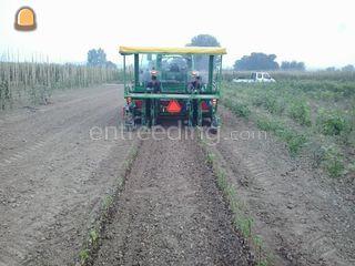 Tractor + Bas Rijs plantm... Omgeving Tiel