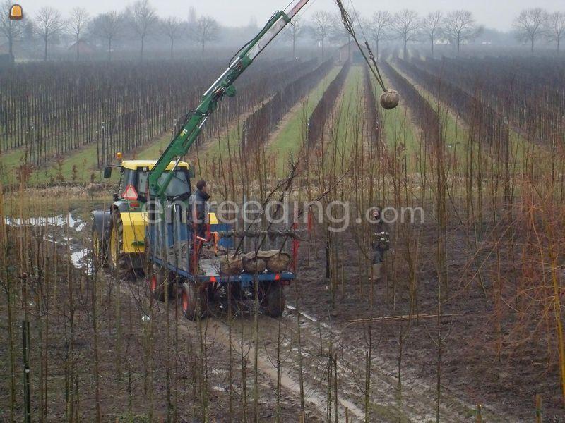 Tractor + bomenkraan (bomenwagens)