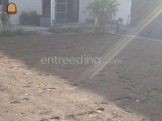 tuinaannemingen, ... Omgeving Roeselare