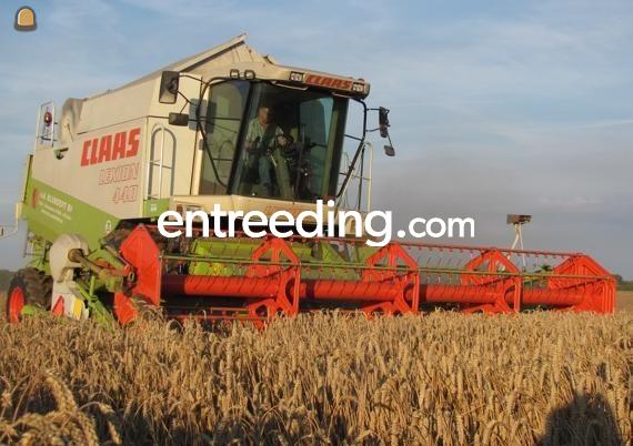 Claas lexion 440