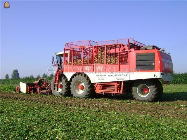 Vervaet beet eater 625