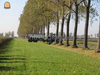 XTX 185 met veenhuis Omgeving Tholen