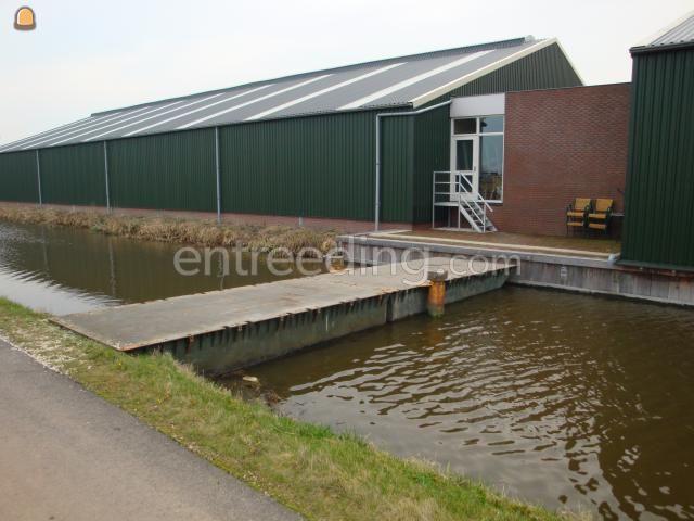 Koppelpontons 210x420