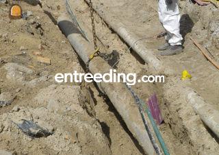 Plaatsen bronbemaling en ... Omgeving Roeselare