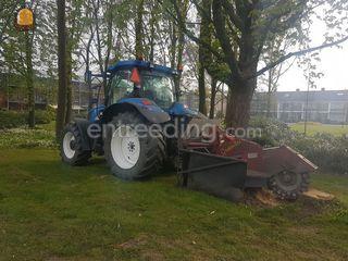 Stobbenfrees Omgeving Alphen a/d Rijn