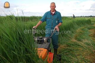 Reform M9 Omgeving Purmerend