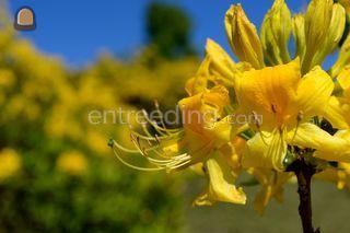 456 Omgeving Sliedrecht